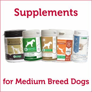 Vitamins & Supplements for Medium Size Breed of Dogs