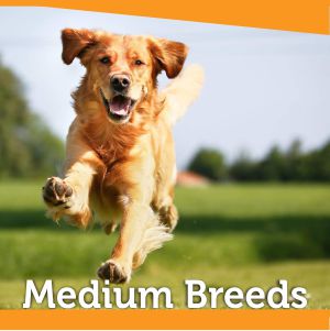 Dog Food for Other Dog Breeds
