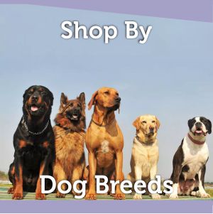Dog Food for Different Breeds